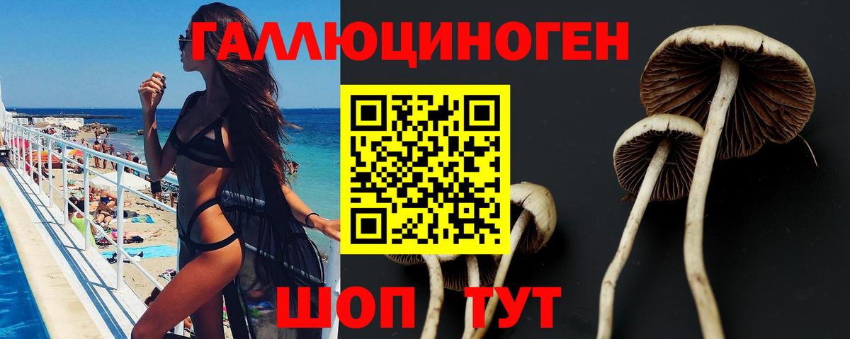 Аша  Псилоцибиновые грибы Psilocybe  Вход с VPN 